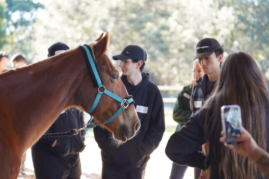 Disability Group Activities in NSW