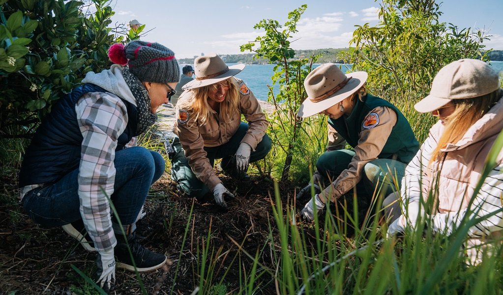 Community Engagement in Sydney
